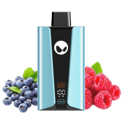 WAKA soPro 20000 - Черника Малина